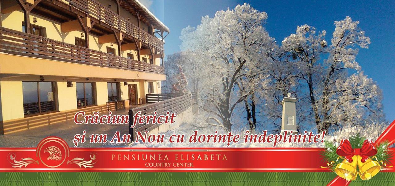 Pensiunea Elisabeta Merghindeal Exteriér fotografie